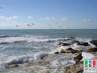 День Каспийского моря отпразднуют в    Дагестане .  