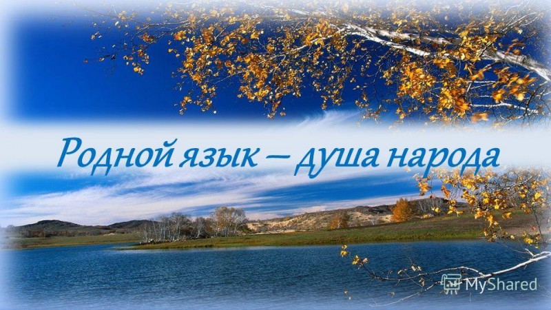 Лучшего учителя по родному языку выберут в Дагестане 